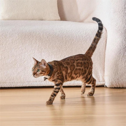 Smart Laser Cat Collar Toy – The Hands-Free Laser That Keeps Cats Playing for Hours